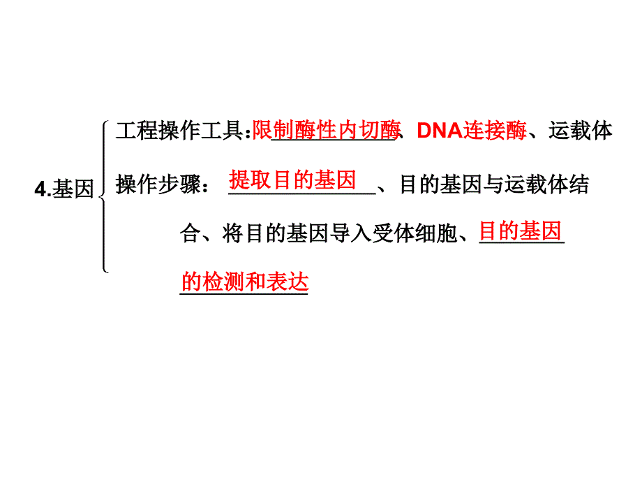 专题遗传的物质基础与基因工程_第4页