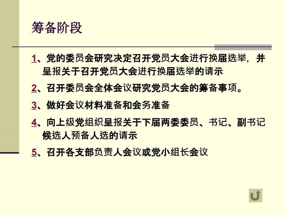 党的基层组织选举流程_第5页