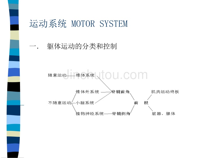 运动系统MOTORSYSTEM_第1页