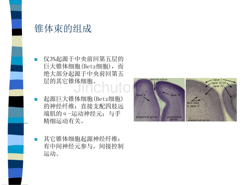 运动系统MOTORSYSTEM_第5页