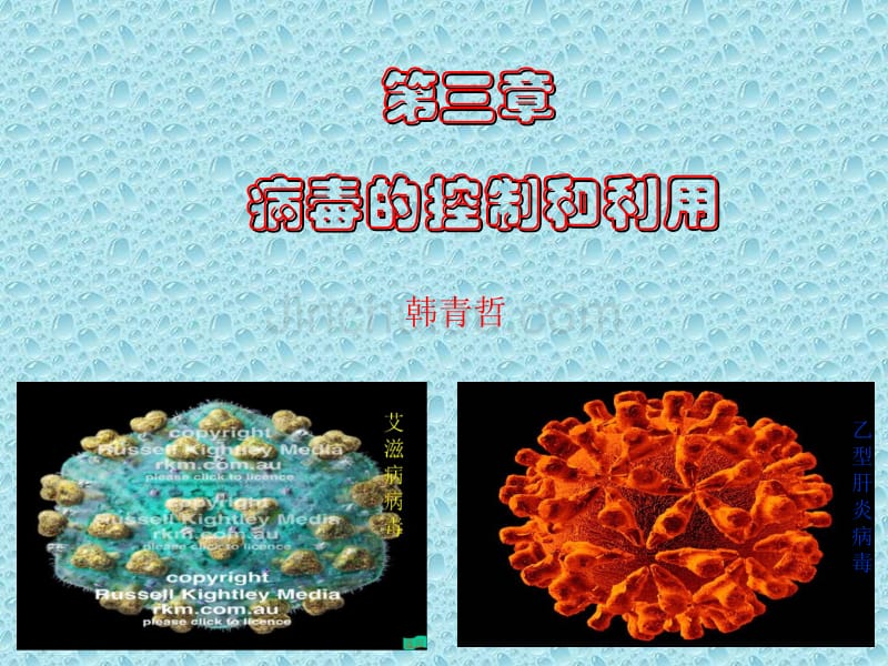 八年级上生物《病毒的控制和利用》课件1(39张)(冀教版八年级上)_第4页