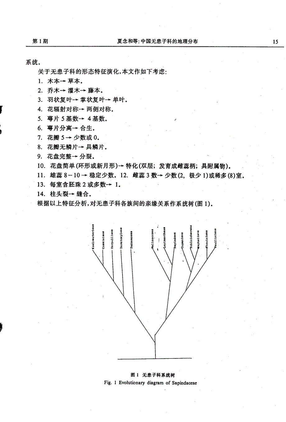 中国无患子科的地理分布_第3页