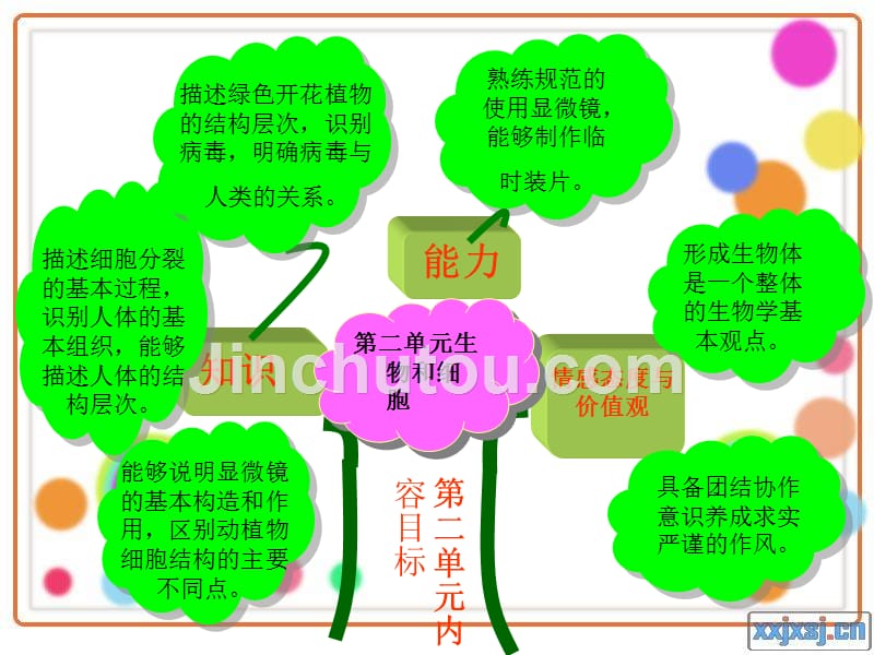 陈建新说初中生物课程教_第5页