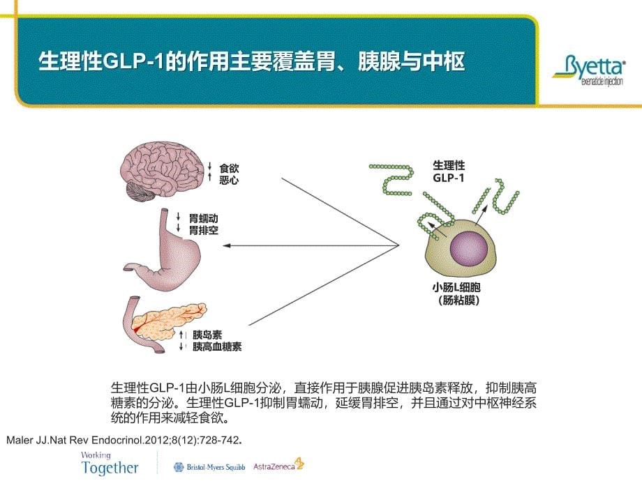 百泌达PPT_第5页