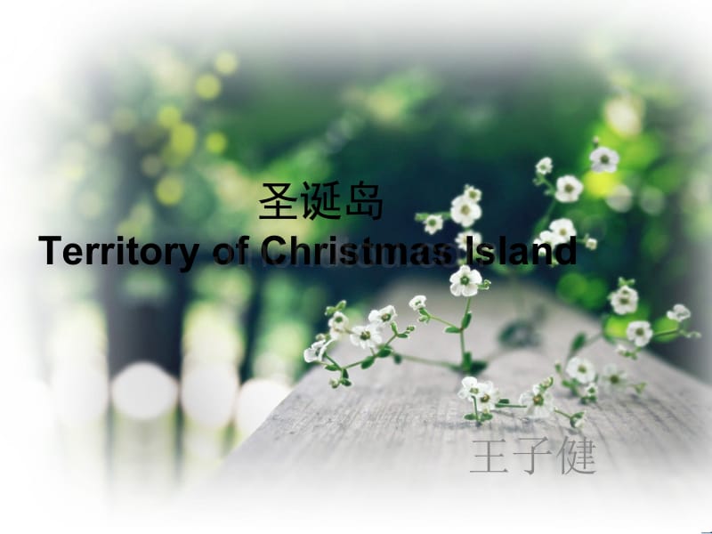 圣诞岛TerritoryofChristmasIsland_第1页