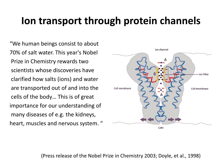 Poisson-Nernst-Planck Theory Approach to the calculation of ion 泊松能斯特-普朗克理论对离子的计算方法_第2页