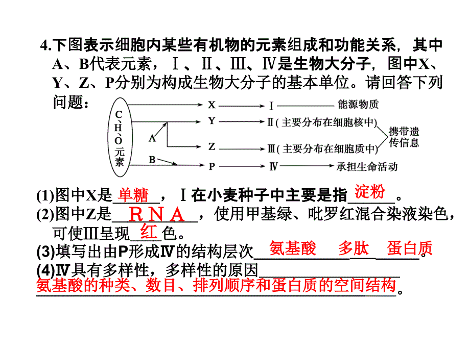 高一上生物期中考试复习_第4页