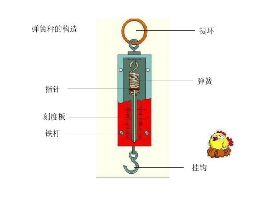 四年级下册《科学》测量重力_第4页