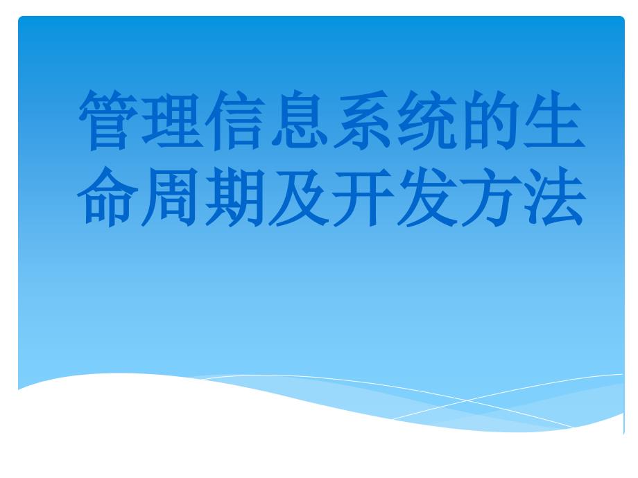 管理信息系统的生命周期及开发方法_第1页