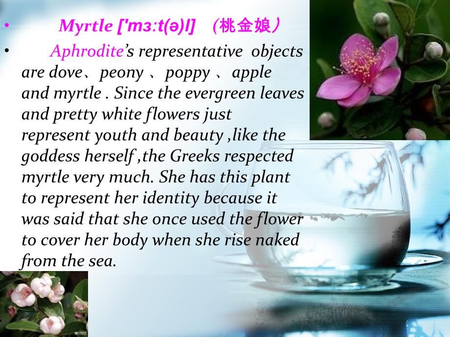 古希腊罗马神话中的植物展示_第3页
