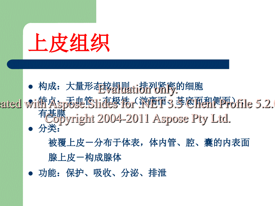 中专护理专业解学剖与组织学上皮组织_第2页