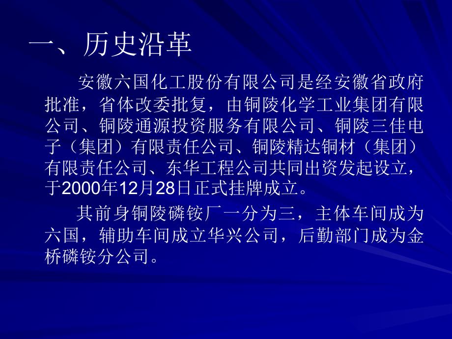 六国化工基本情况及企业文化介绍_第3页