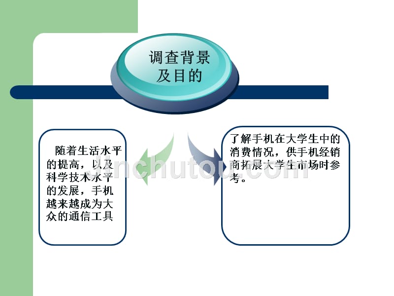 大学生手机消费市场调查_第3页