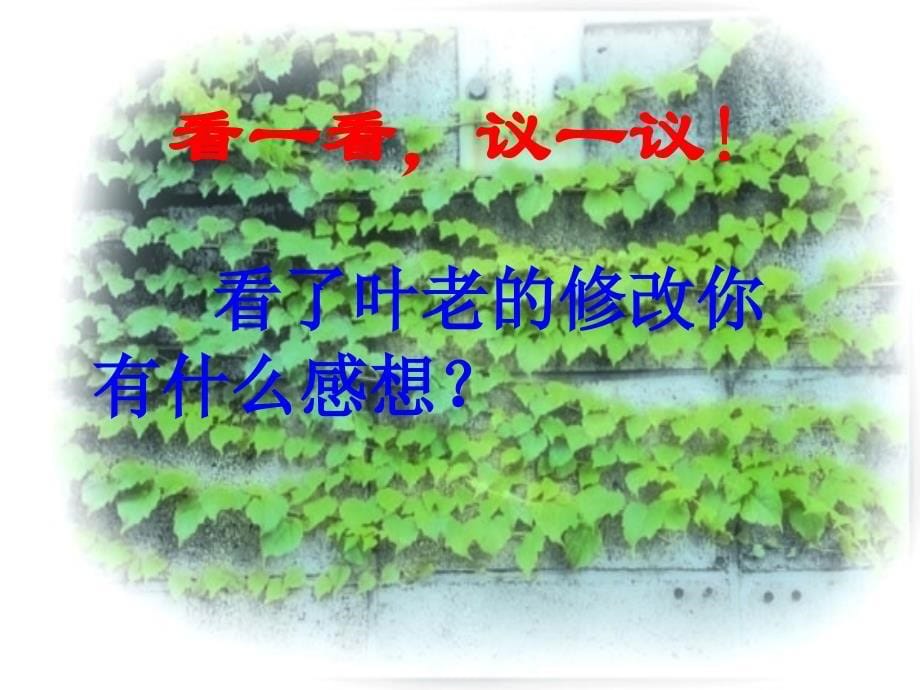 四年级《那片绿绿的爬山虎》课件_第5页