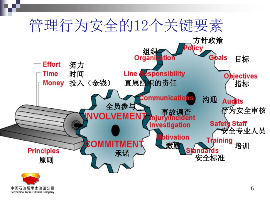 杜邦理念之属地管理-塔里木油田_第5页