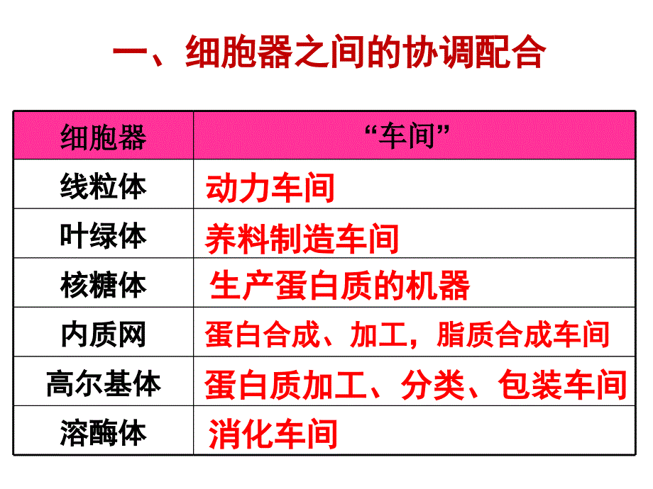 细胞器之间的协调配合和生物膜系统_第2页