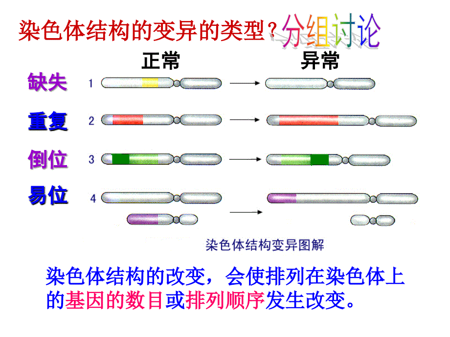 生物学②必修《染色体变异》课件_第4页