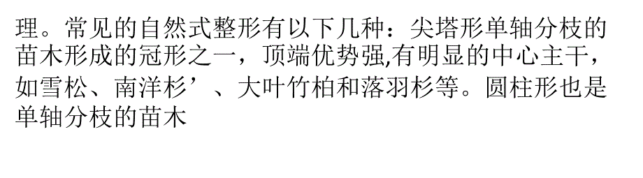 银杏树苗木整形方式介绍_第4页