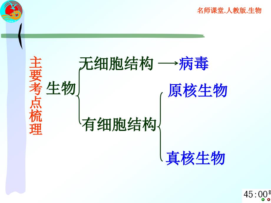 原核生物、真核生物与病毒_第3页