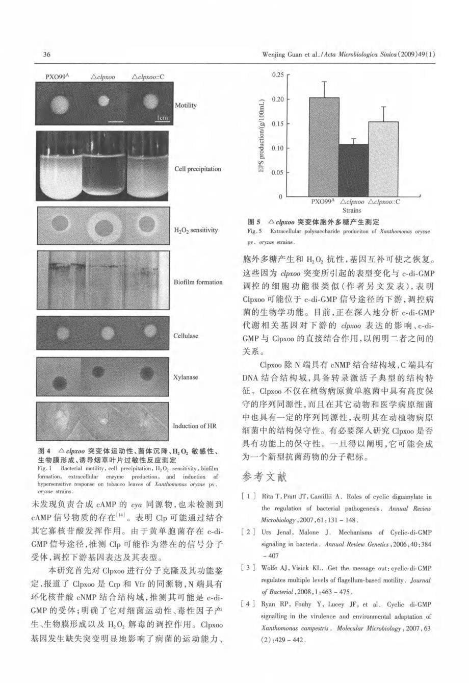 水稻白叶枯病菌核苷酸信号受体蛋白Clpxoo的分子鉴定及其功能_第5页