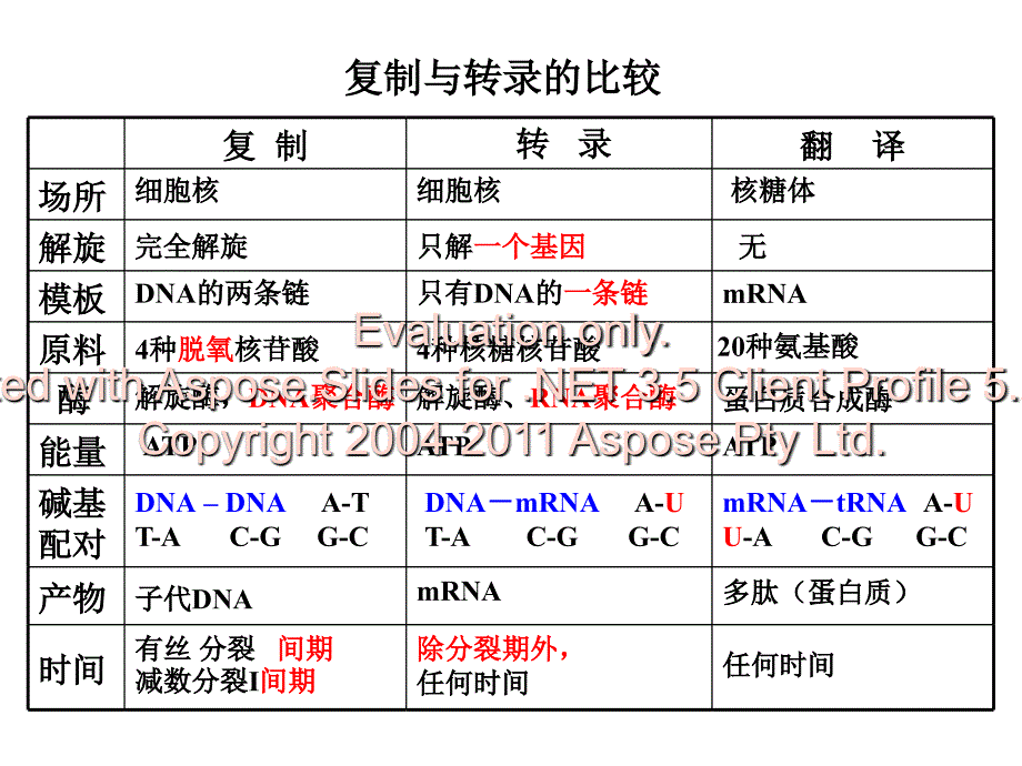 高中生物人教必修二基因对性状的控制_第3页