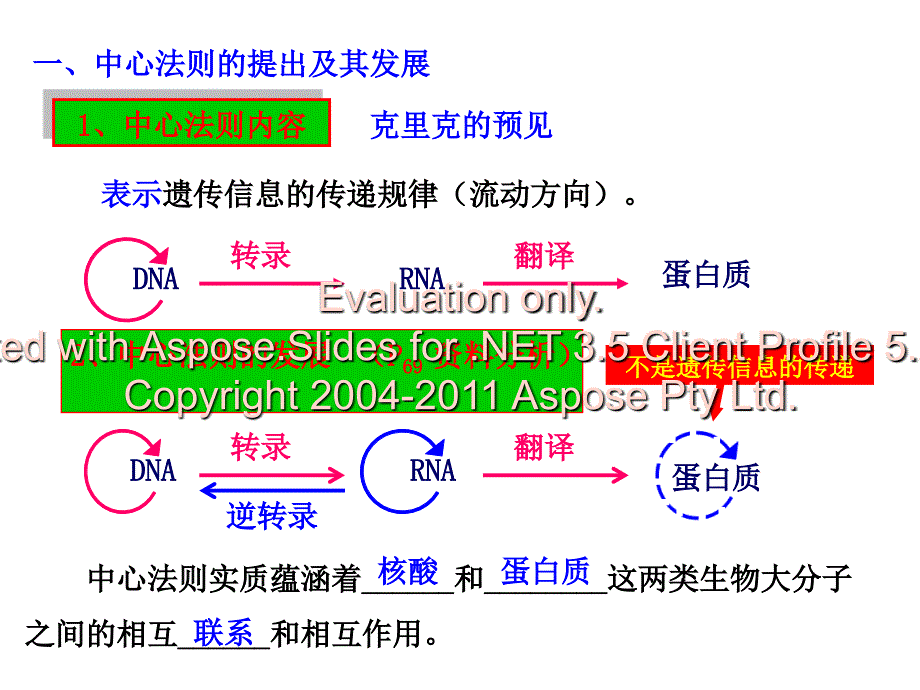 高中生物人教必修二基因对性状的控制_第4页