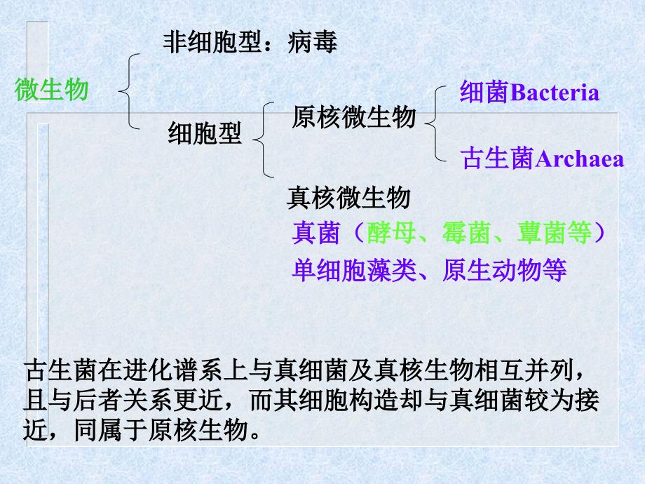 原核微生物及其分类_第2页