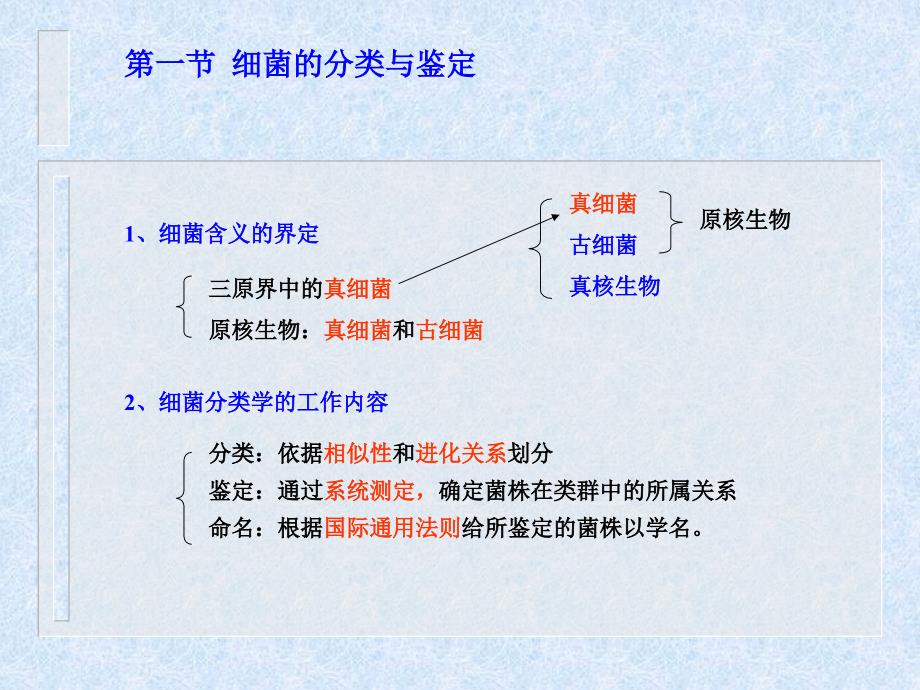 原核微生物及其分类_第3页