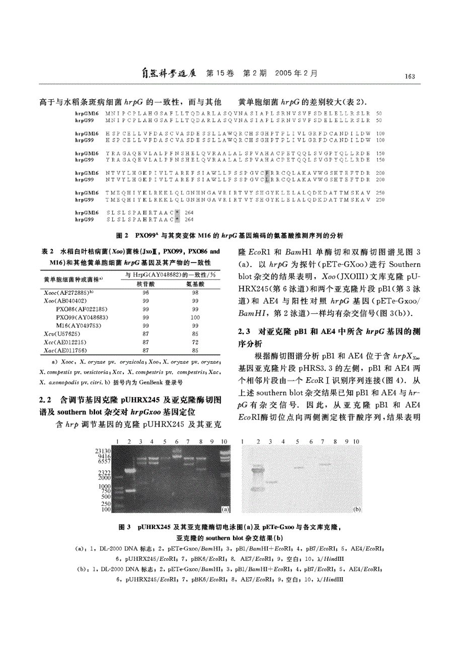 水稻白叶枯病菌hrp调节基因hrpG的鉴定及其变异分析.pdf_第4页