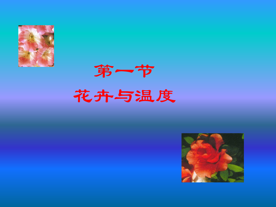 h5-花卉和环境因子_第3页