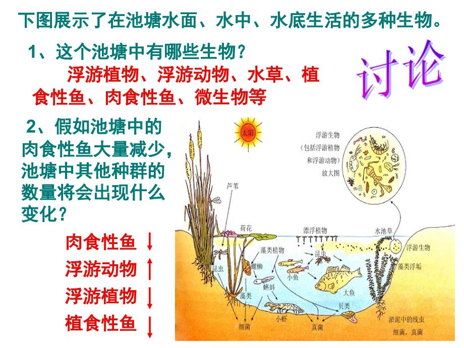 生物学③必修4.3《群落的结构》课件_第3页