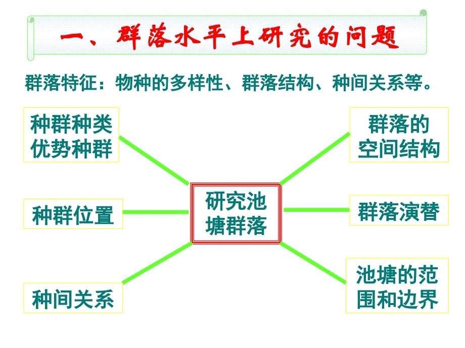 生物学③必修4.3《群落的结构》课件_第5页