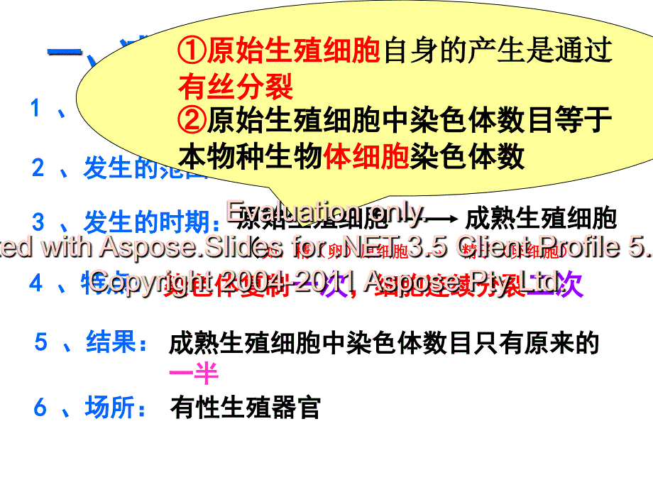 高中生物必修二基因和染色体的关系_第4页