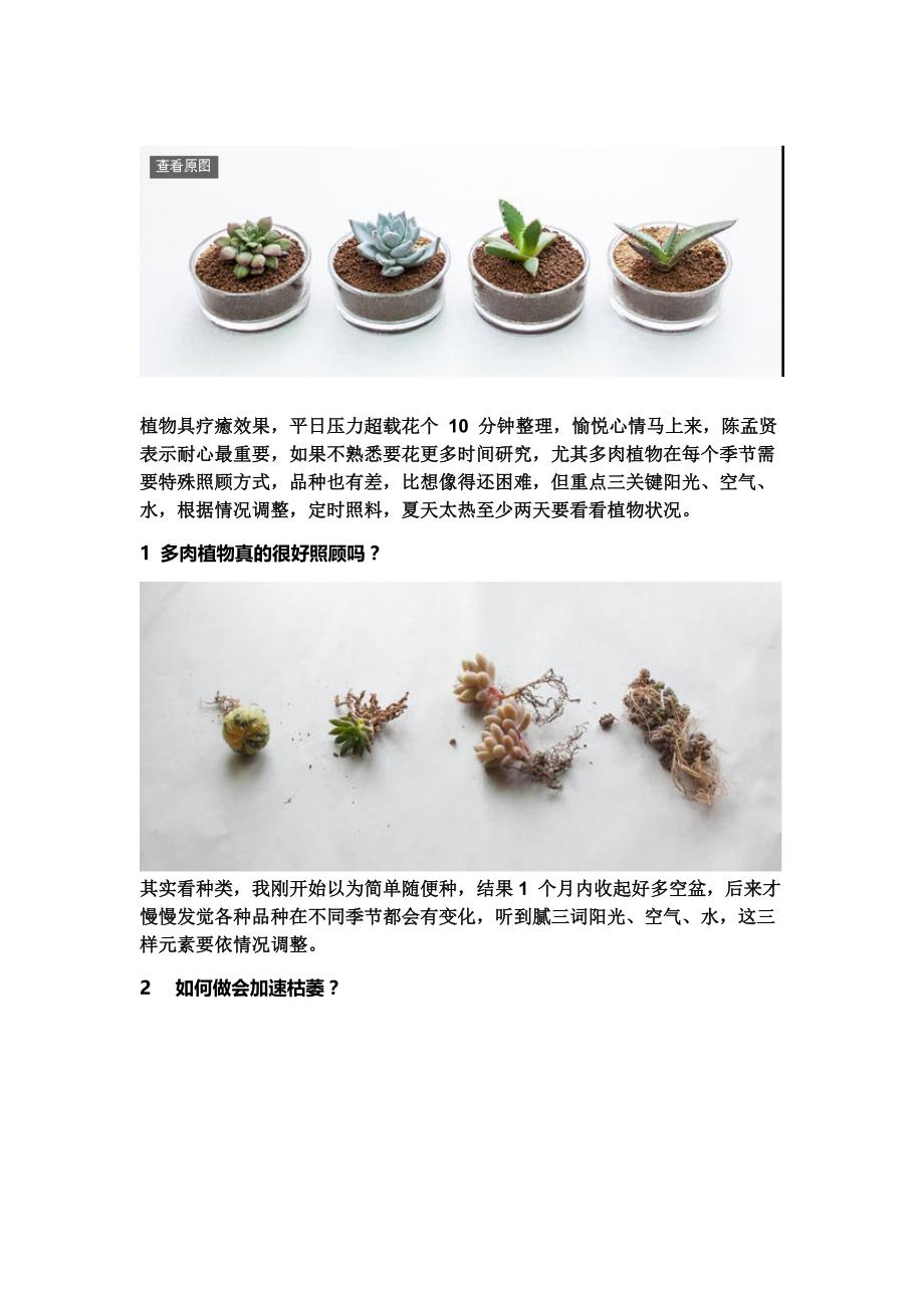 你及多肉植物为什么养不活_第2页