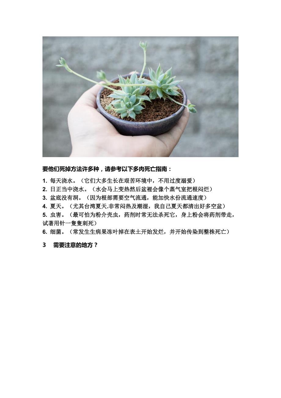 你及多肉植物为什么养不活_第3页