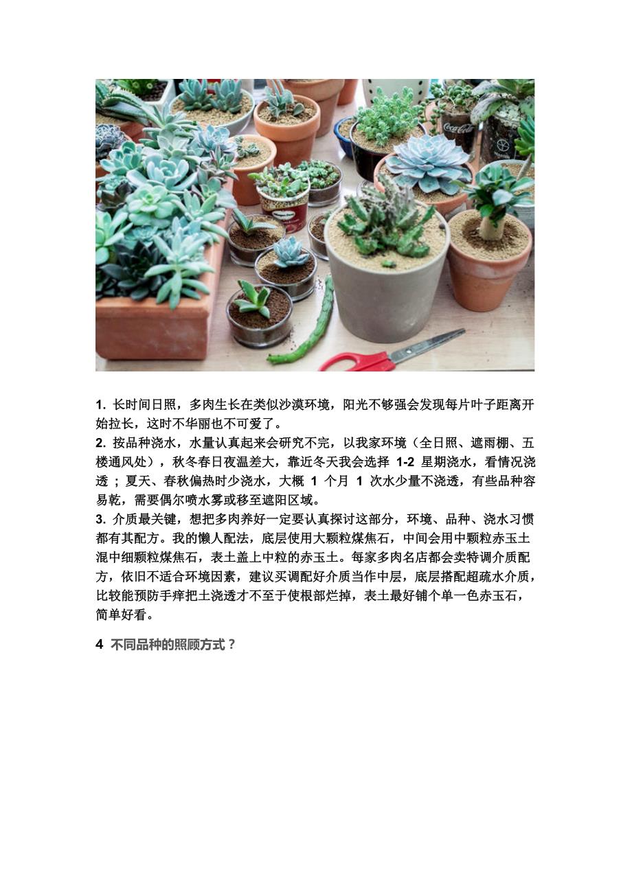 你及多肉植物为什么养不活_第4页