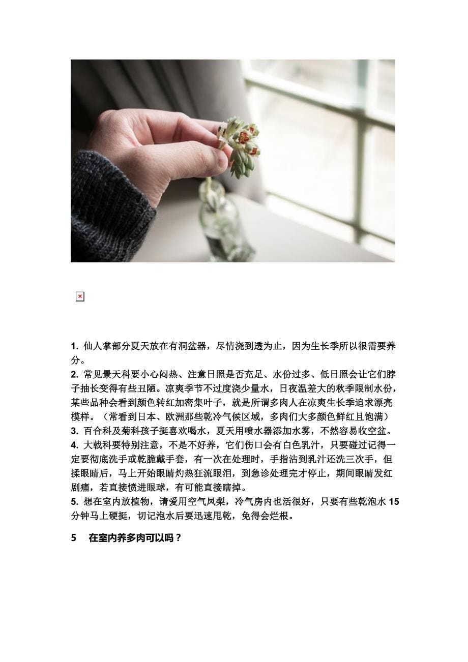 你及多肉植物为什么养不活_第5页