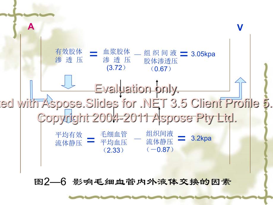 过多的液体在组织间隙或体腔中积聚_第2页