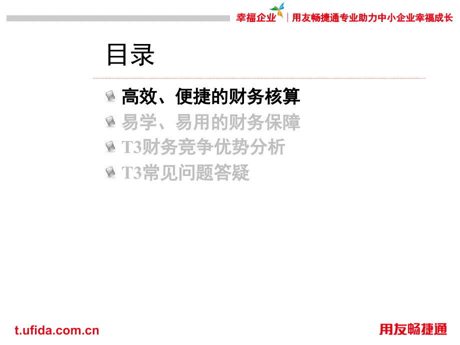 T3财务价值亮点及竞争优势_第2页