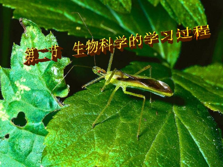 苏教版教学课件陕西省安康市高一生物《12生物科学的学习过程》课件_第1页