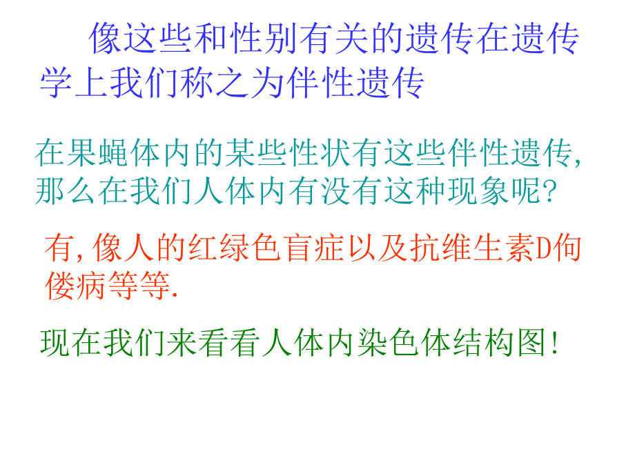 人教版教学课件高一生物必修二遗传和进化伴性遗传课件_第4页