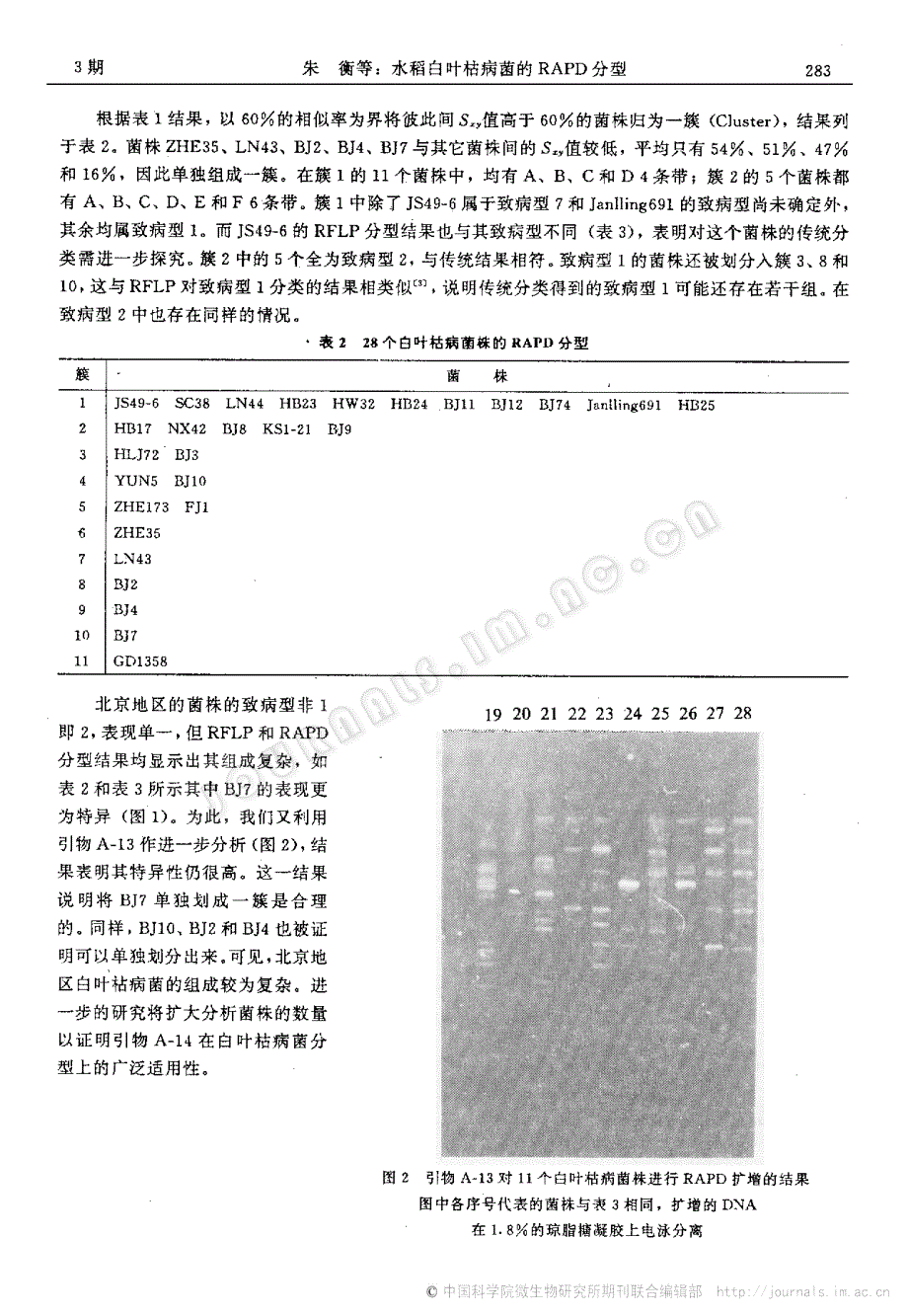 水稻白叶枯病菌的RAPD分型_第3页
