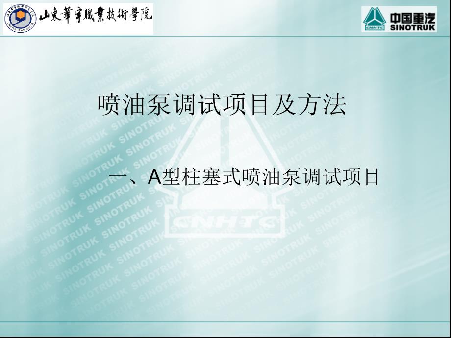 柱塞式喷油泵调试项目及方法_第1页