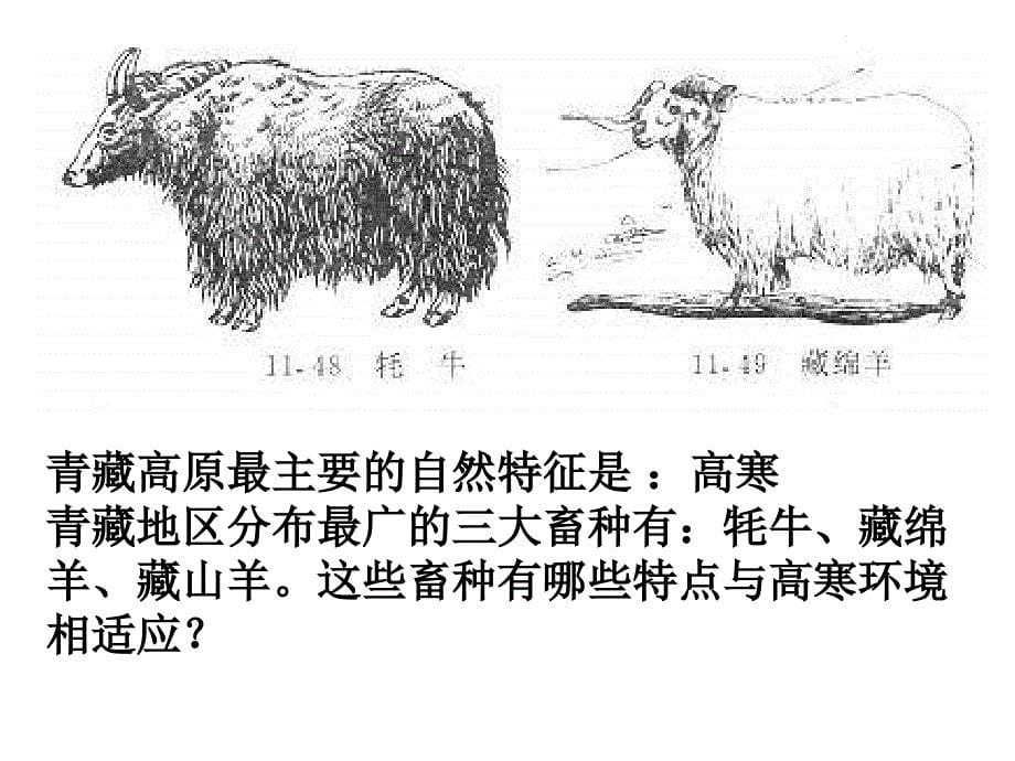2010年高考地理中国地理复习课件23_第5页