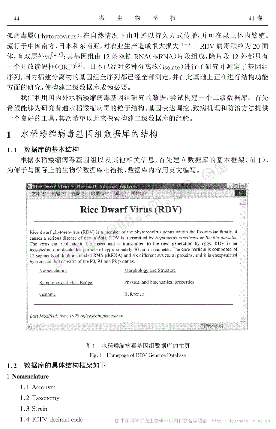 水稻矮缩病毒基因组数据库的构建_第2页