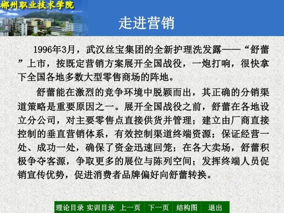 分销渠道的含义和类型_第5页