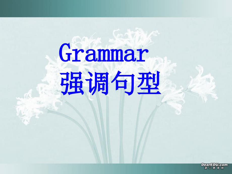 高一英语语法强调句型新课标人教版1_第1页