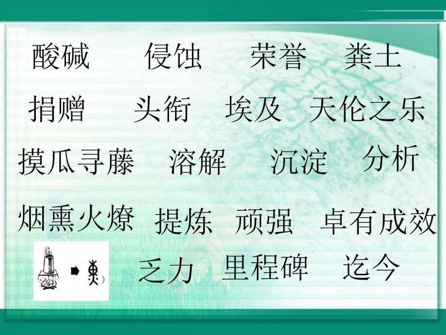 (人教新课标)六年级语文课件跨越百年的美丽1_第5页