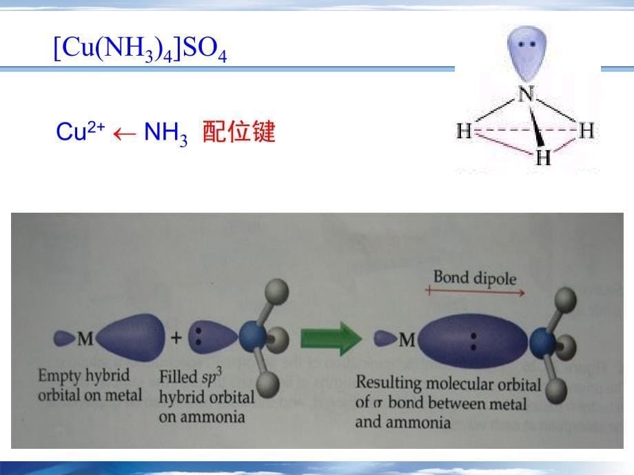 配合物的结构和性质_第5页