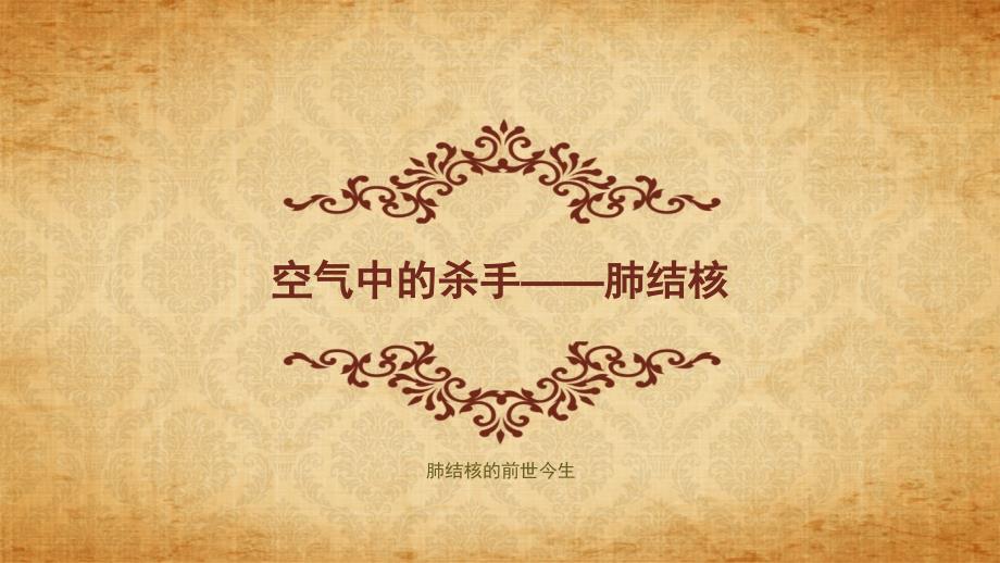 空气中的杀手肺结核_第1页